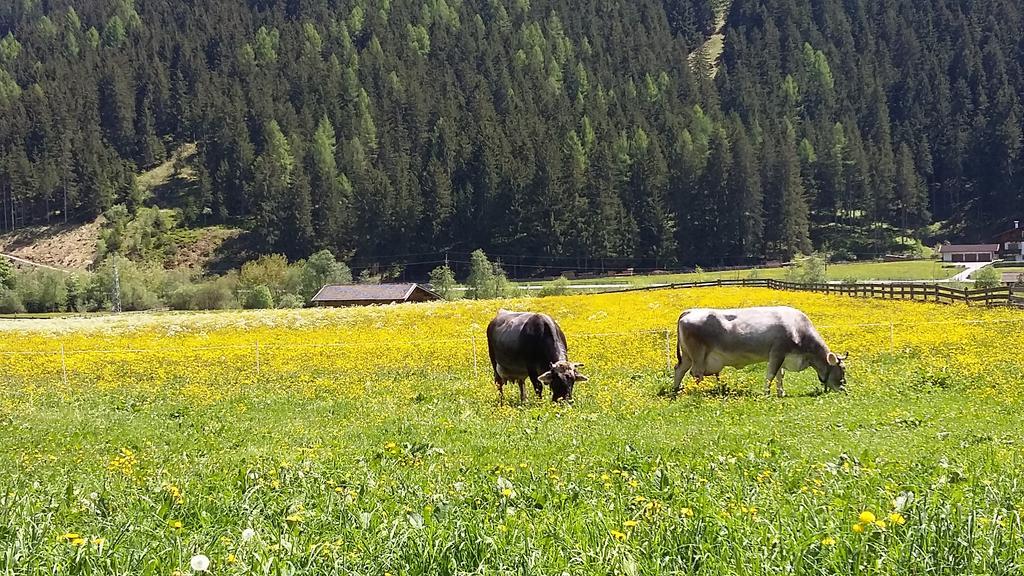Landhaus Alpensonne Neustift im Stubaital Exterior photo