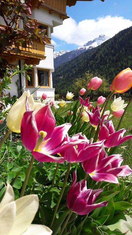 Landhaus Alpensonne Neustift im Stubaital Exterior photo